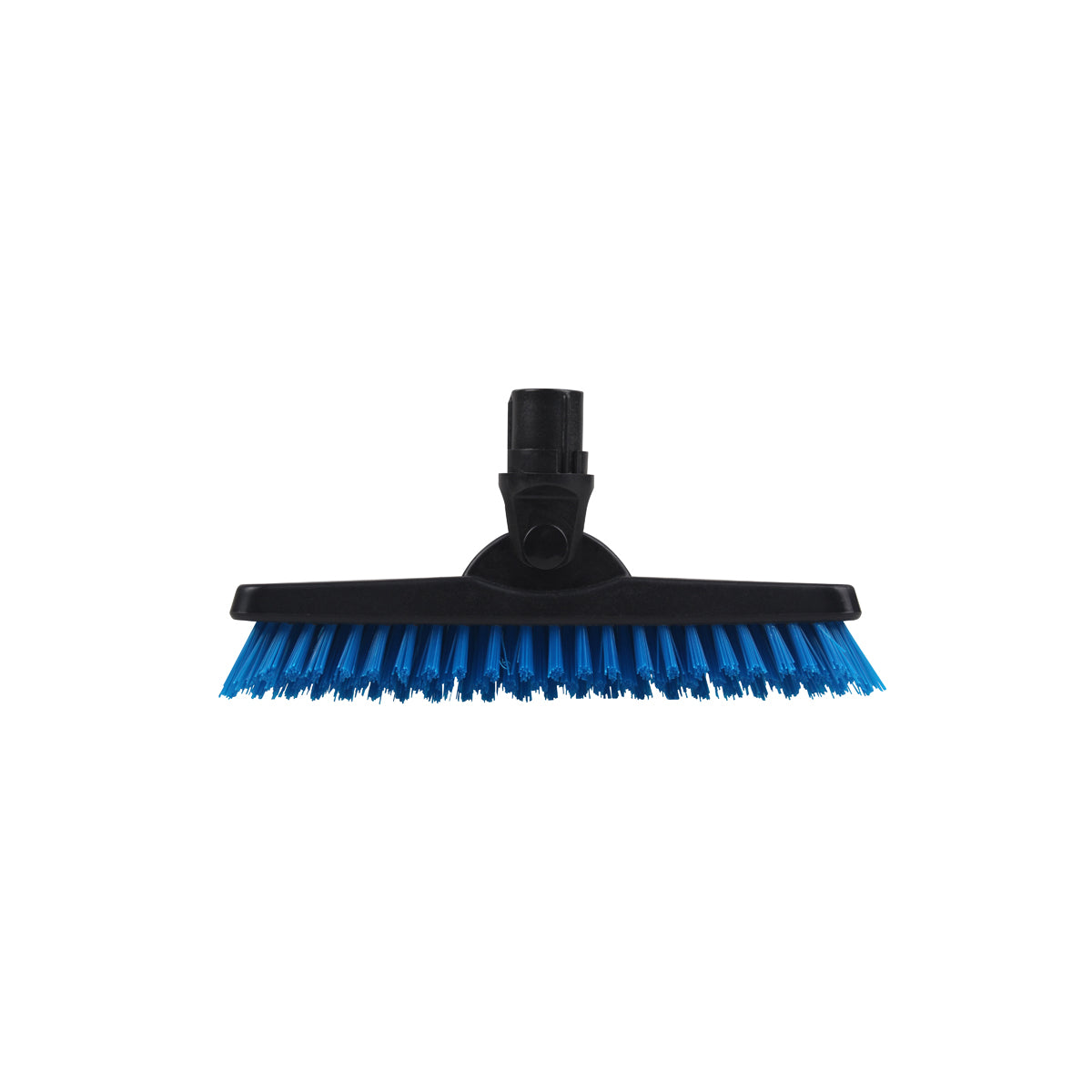 532111 SYR Grout Broom Tough Polypropylene Bristles Blue 230mm Star Group