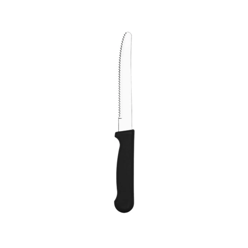 Steak Knife Slim with Round Tip 253mm, Pack of 12