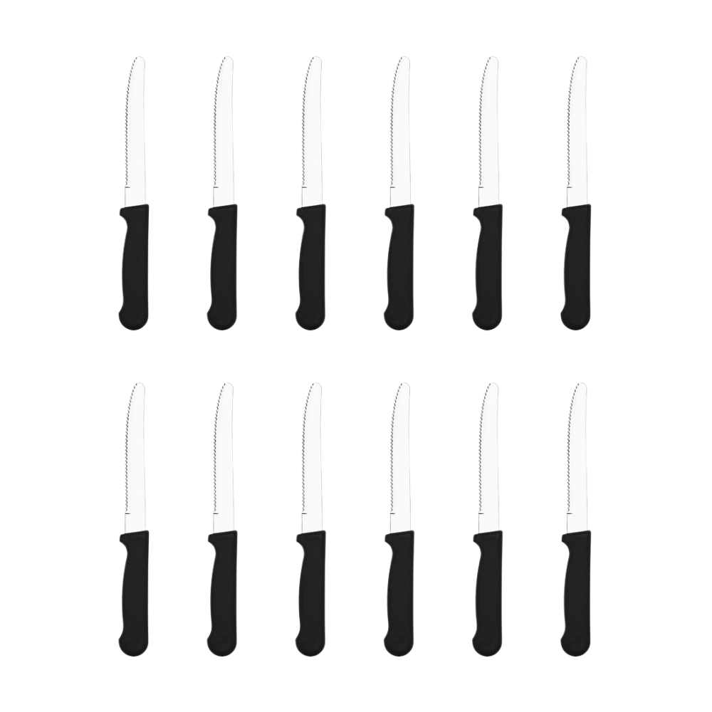 Steak Knife Slim with Round Tip 253mm, Pack of 12