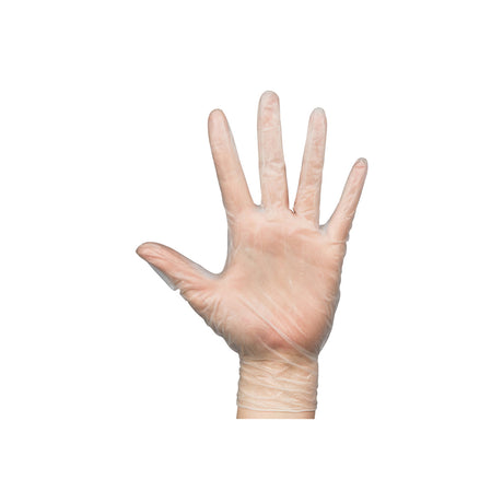 700889 Breeze Vinyl Gloves Powdered Free Clear Large Star Group