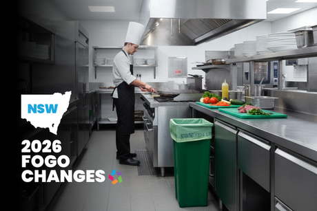 NSW 2026 Fogo Updates by Star Group Australia